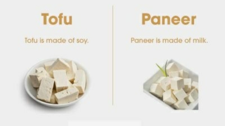 what is difference between tofu and paneer